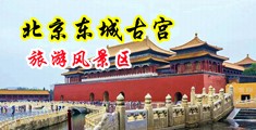 无码大屁股丰满高潮大叫中国北京-东城古宫旅游风景区